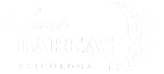 Ana Bargas